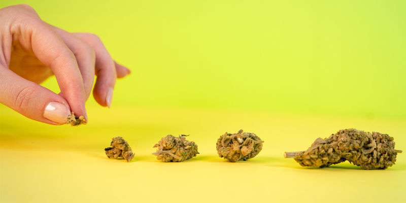 Mit Deinen Händen Und Augen Mit Deinen Händen Und Augen