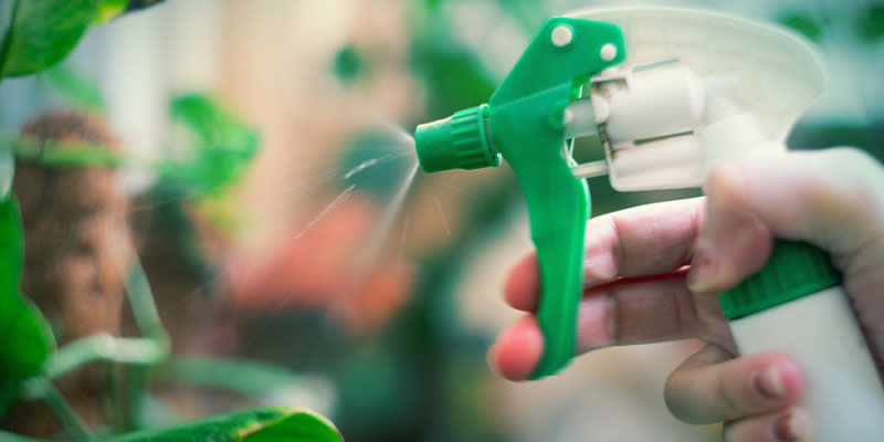 Natürliche Pestizide Natürliche Pestizide