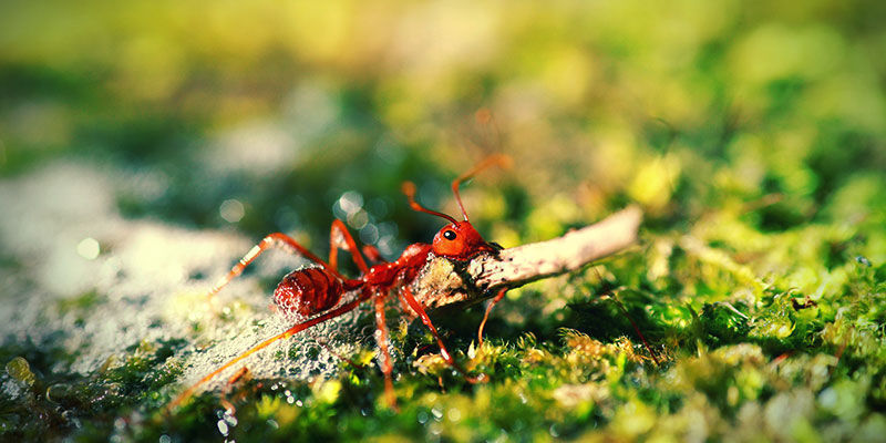 Seifenwasser Seifenwasser
