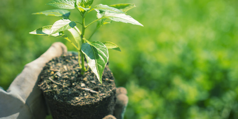 Was Bedeutet Abhärten? Was Bedeutet Abhärten?