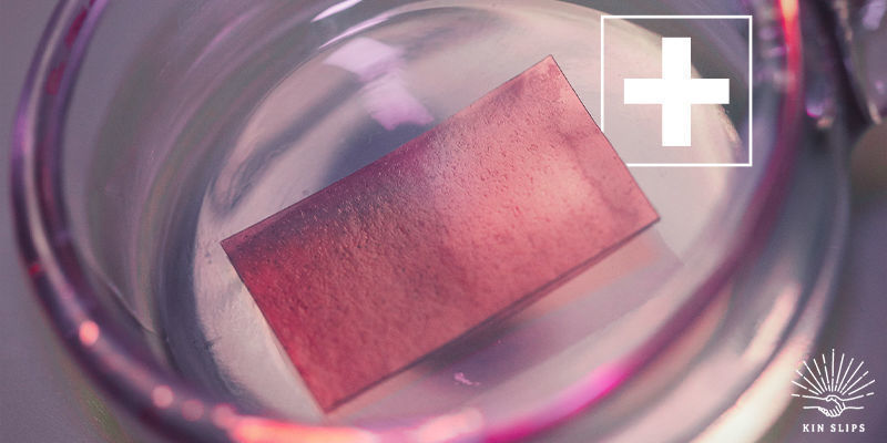 Was Sind Die Vorteile Von Sublingualen Cannabis-Strips? Was sind die Vorteile von sublingualen Cannabis-Strips?