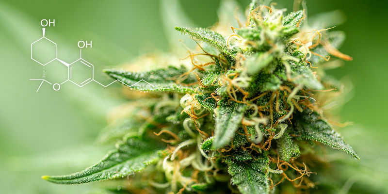 Was ist Hexahydrocannabinol (HHC)?