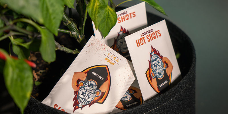 Wähle Deine Bevorzugten Chilipflanzen Und Fange Mit Dem Anbau An Wähle Deine bevorzugten Chilipflanzen und fange mit dem Anbau ans y empieza a cultivar