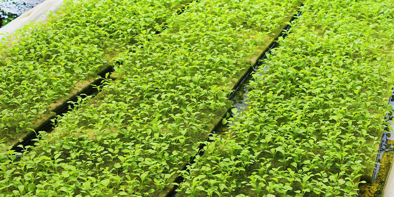 Ebbe-Flut-Systeme Ebbe-Flut-Systeme