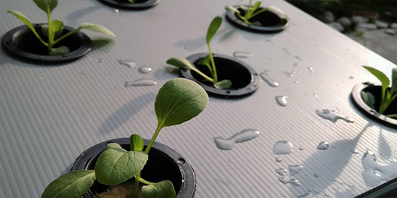 Dochtsysteme Dochtsysteme