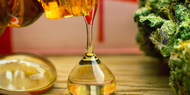 Die Buds Sind Reicher An Harz Die Buds sind reicher an Harz