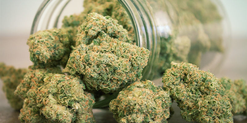 Höhere Erträge Höhere Erträge