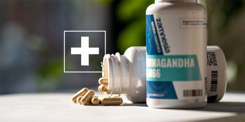 Welche Potenziellen Nutzen Hat Ashwagandha? Welche Potenziellen Nutzen Hat Ashwagandha?