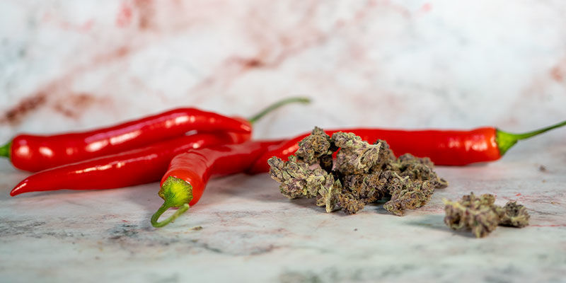 Variation: Mit Cannabis Angereichertes Chili-Öl Variation: Mit Cannabis angereichertes Chili-Öl