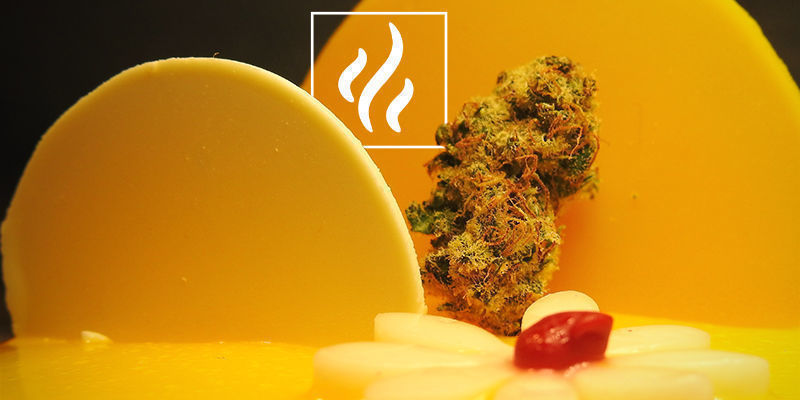 Aroma Und Geschmack Von Myrcen Aroma Und Geschmack Von Myrcen