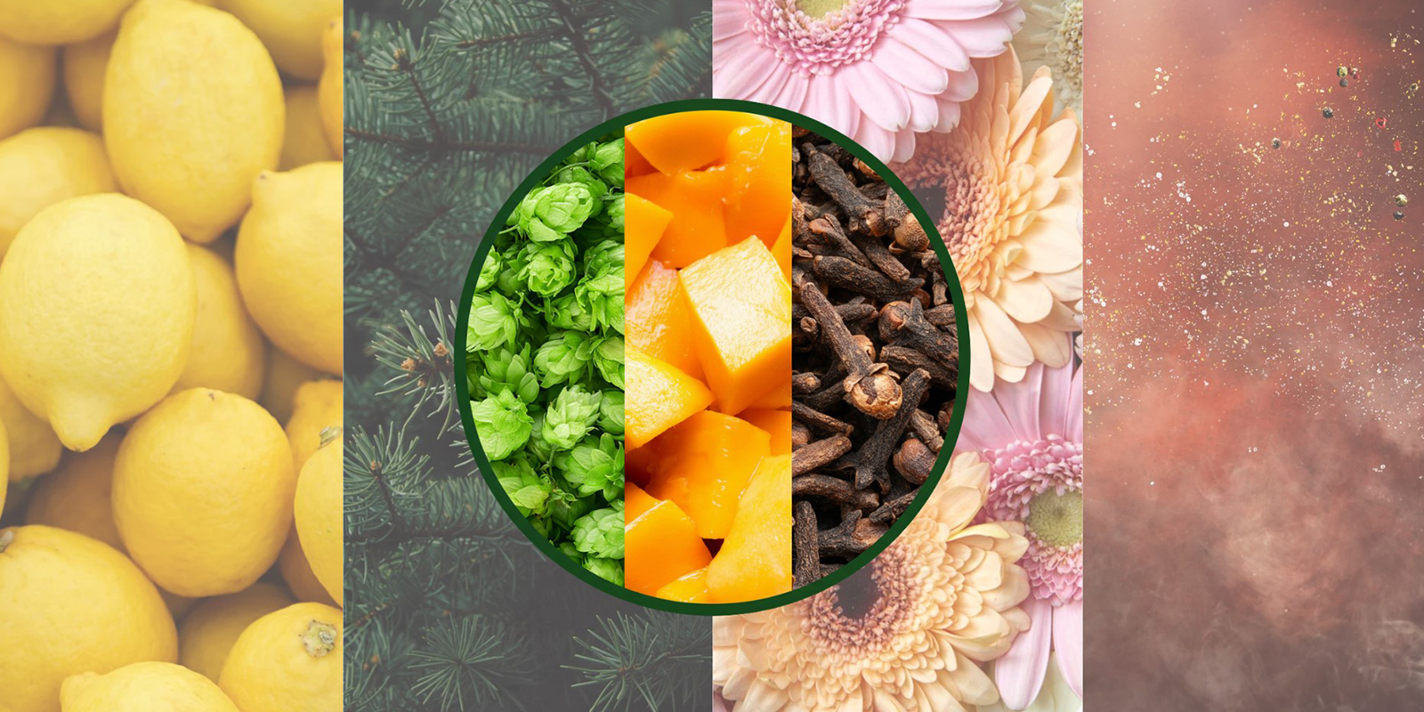 Myrcene vs other terpenes