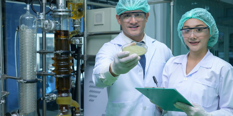 Cannabispulver – Wie Hat Alles Begonnen? Cannabispulver – Wie hat alles begonnen?