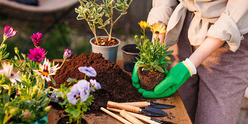 5. Gartenarbeit 5. Gartenarbeit