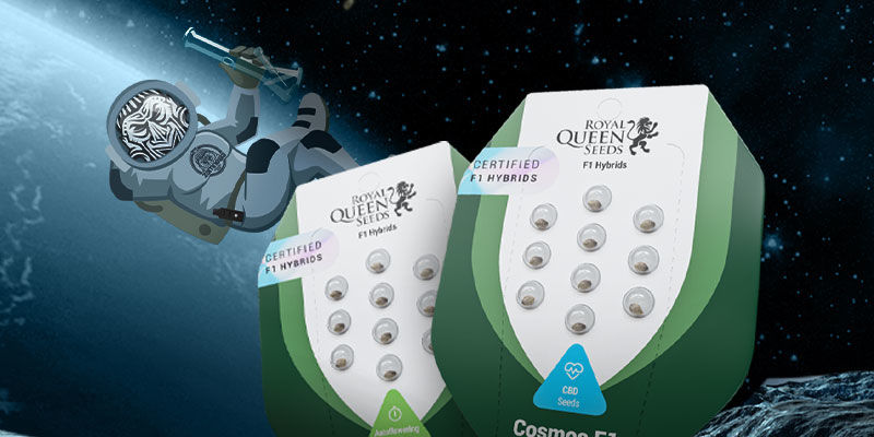 F1: Die Neuen Hybriden F1: Die neuen Hybriden