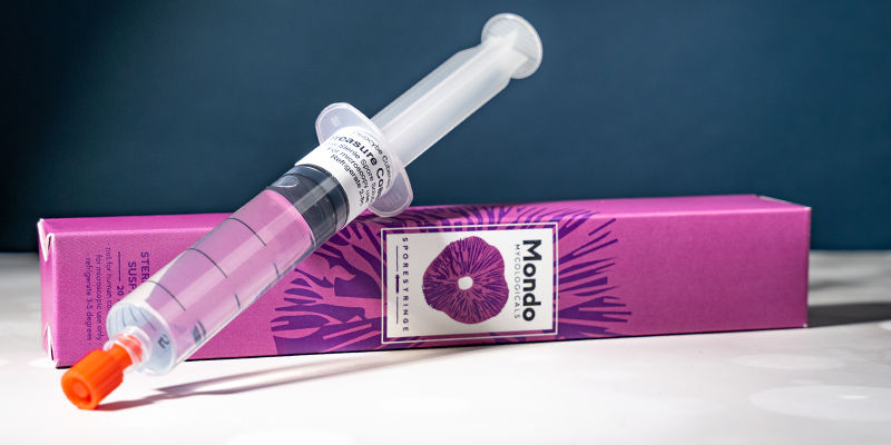 Zauberpilz-Sporenspritzen Zauberpilz-Sporenspritzen