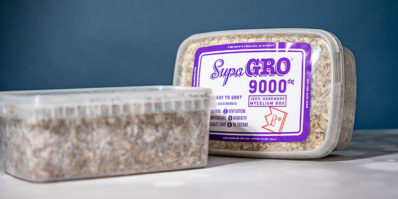 Pilzzuchtsets Pilzzuchtsets