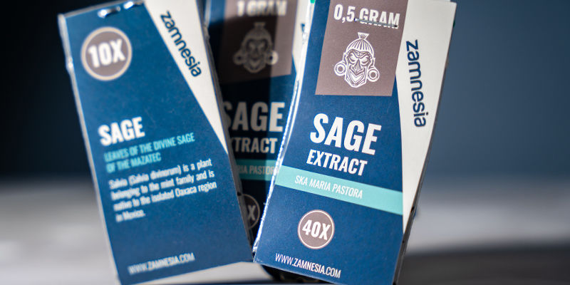 Salvia Divinorum Salvia Divinorum