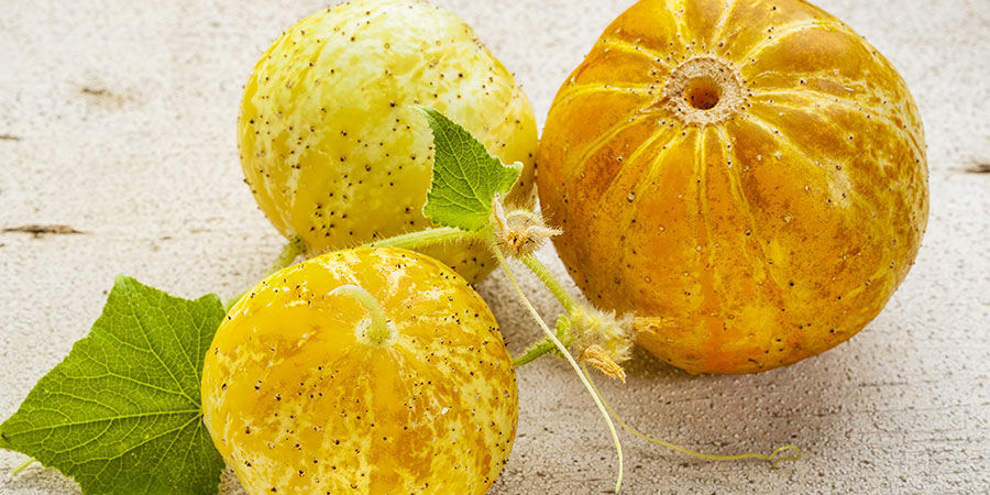 Salatgurke Lemon Apple Salatgurke Lemon Apple