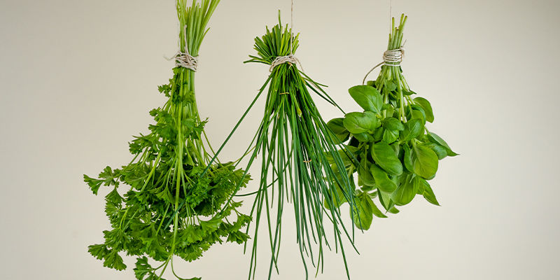 Am Stiel Trocknen Am Stiel Trocknen