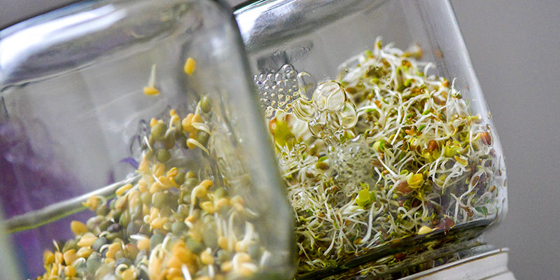 Ausrüstung Ausrüstung