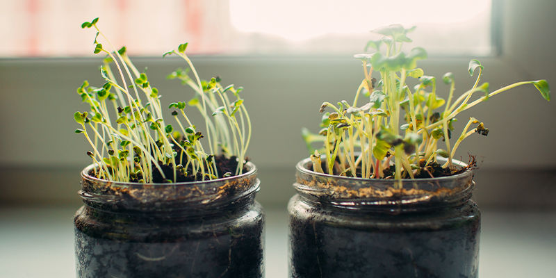 Finde Den Richtigen Standort Finde Den Richtigen Standort