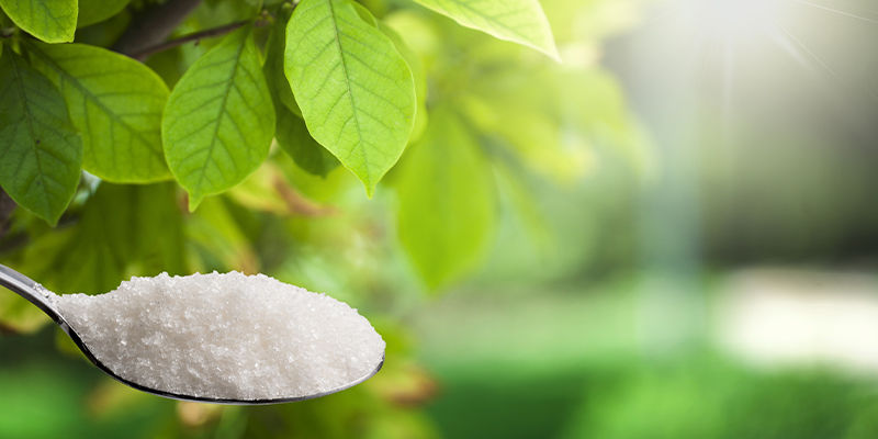 Vorteile Von Stevia Vorteile Von Stevia