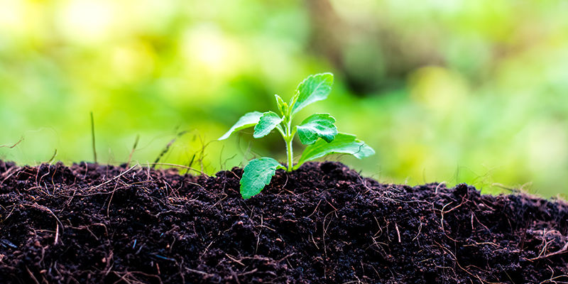 Wähle Den Richtigen Standort Wähle Den Richtigen Standort