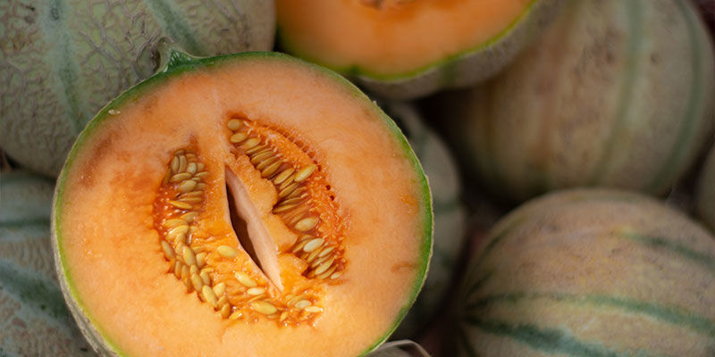 Charentais-Melone Charentais-Melone