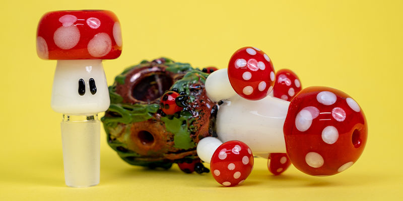 Koste Ein Oder Zwei Pilze Koste ein oder zwei Pilze