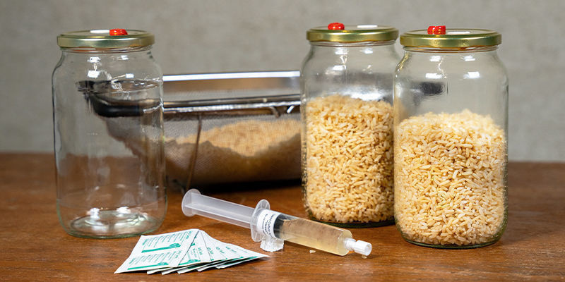 Wie man eine Pilzbrut ohne Schnellkochtopf herstellt