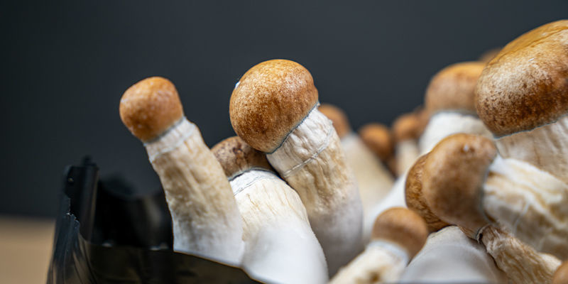 Welche Risiken bestehen beim Sterilisieren ohne Schnellkochtopf?