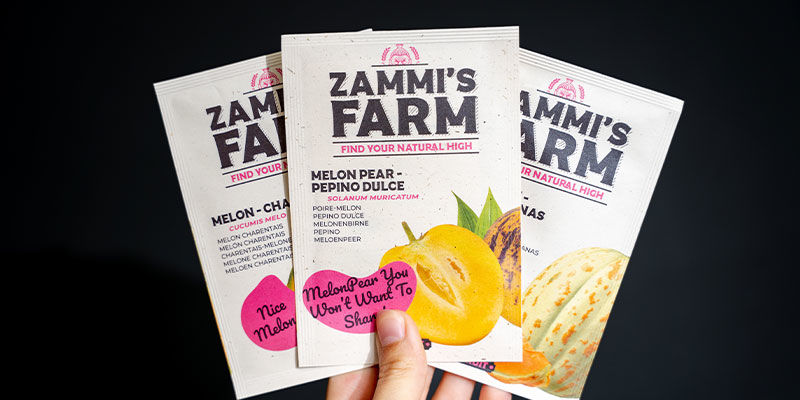 Kein Grund, Melon-Cholisch Zu Werden Kein Grund, melon-cholisch zu werden