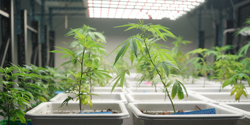 Sofort Einsatzbereit Sofort Einsatzbereit