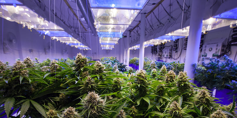 Was Sind LEC-anbaulampen? Was Sind LEC-anbaulampen?