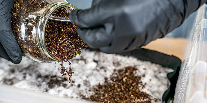 Wie Dick Sollte Die Deckschicht Sein?