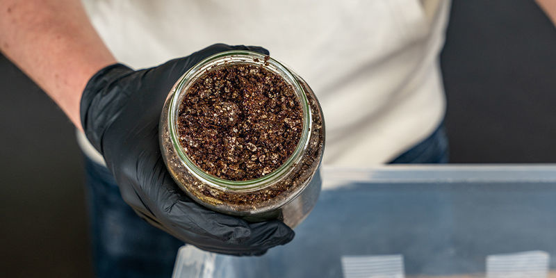 Wie Man Eine Deckschicht Für Pilze Herstellt