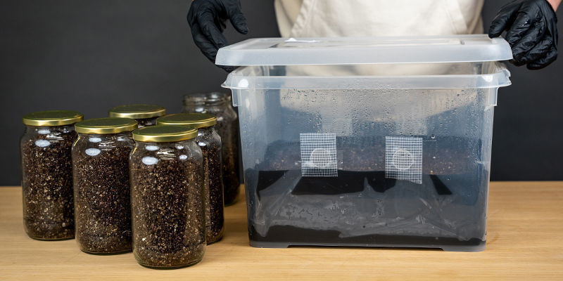 Was Genau Versteht Man Unter Einer Deckschicht?