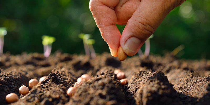An Kältere Klimazonen Anpassen An kältere Klimazonen anpassen