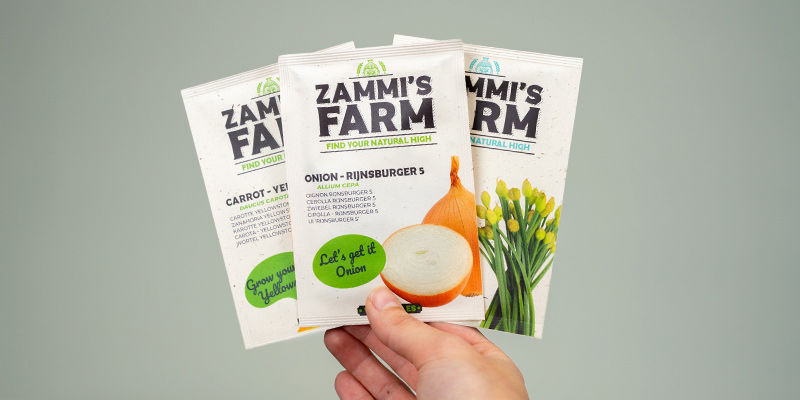 Entspann Dich – Zamnesia Hat Alles, Was Du Brauchst Entspann Dich – Zamnesia hat alles, was Du brauchst