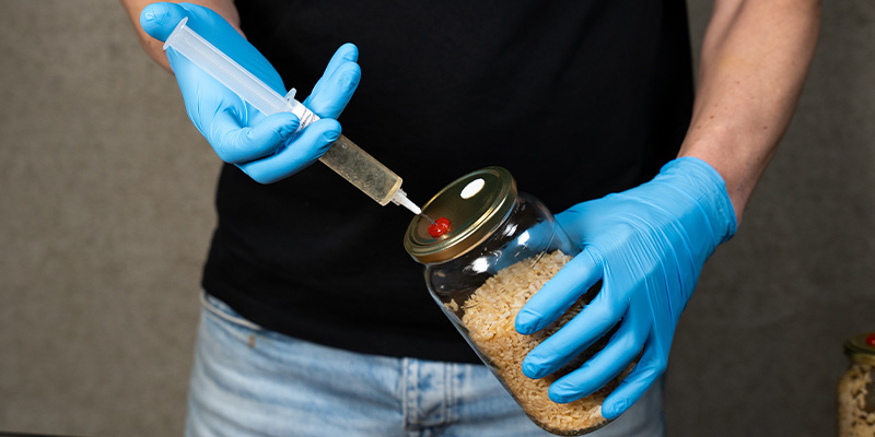 Nimm die Gläser heraus und lasse sie vollständig abkühlen