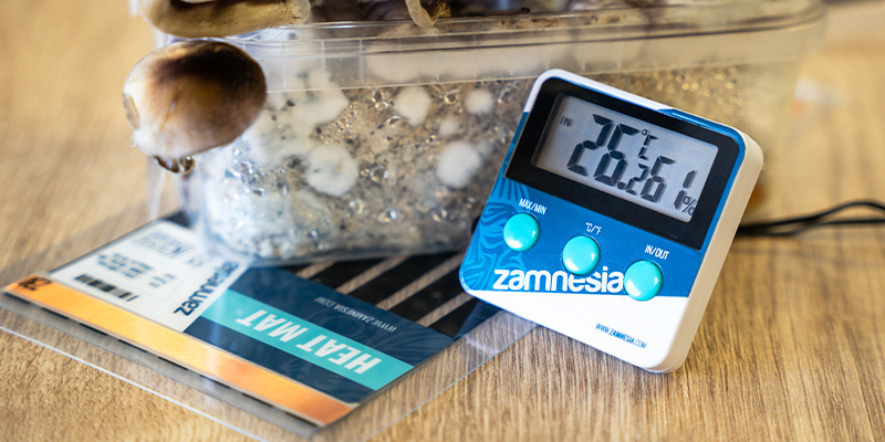 Nutze eine Heizmatte, um die Temperatur zwischen 21–24 °C zu halten