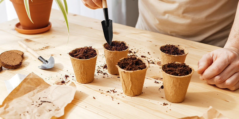 Wann Sollte Man Säen? Wann sollte man säen?