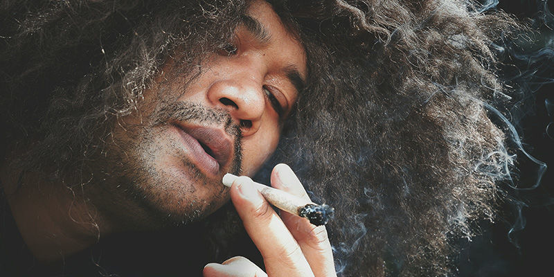 Cannabis Und Haare – Eine Komplexe Beziehung Cannabis Und Haare – Eine Komplexe Beziehung