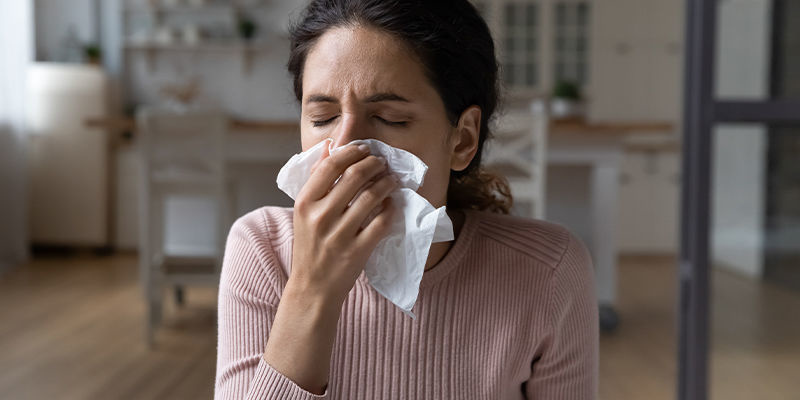 Immunsystem Immunsystem