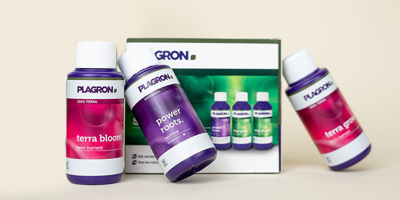 Wie Kann Man Einen Stickstoffmangel Beheben? Wie Kann Man Einen Stickstoffmangel Beheben?