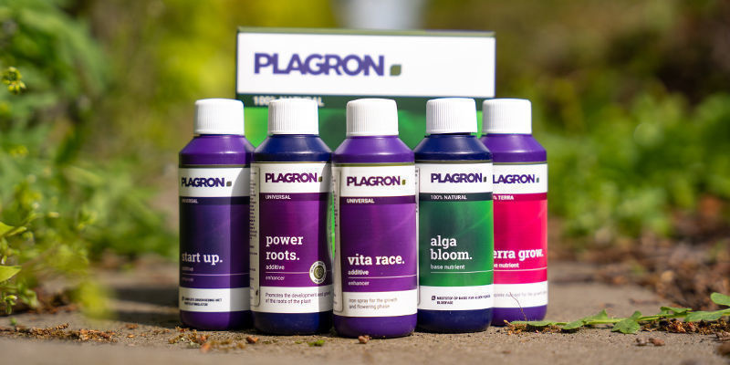 Planung, Prävention & Plagron Planung, Prävention & Plagron