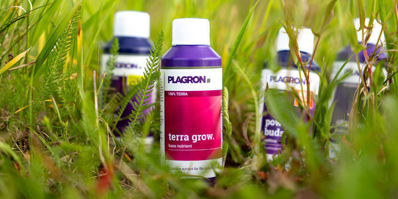 Was Kann Man Zur Vorbeugung Eines Stickstoffmangels Tun? Was Kann Man Zur Vorbeugung Eines Stickstoffmangels Tun?