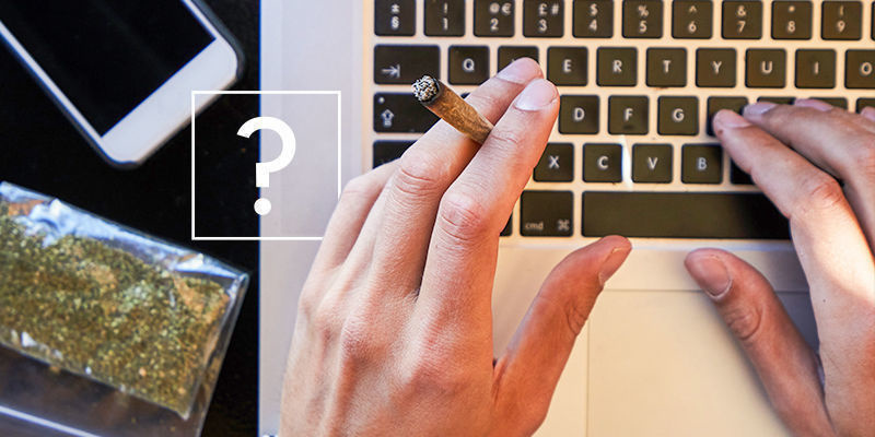 Wir Beantworten Die Meistgesuchten Fragen Zu Cannabis Im Internet