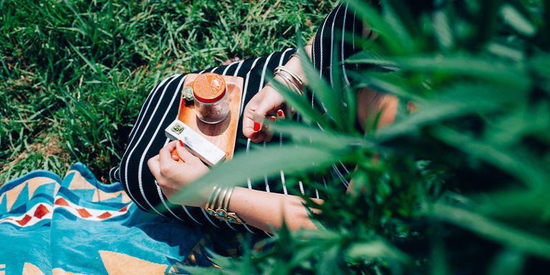 Wofür Wird Cannabis Verwendet?