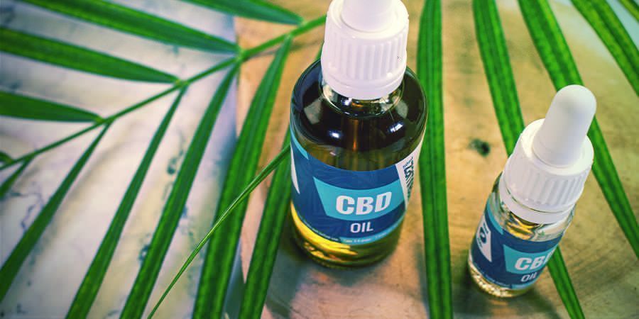 Wie Kann Man Von Flavonoiden, Terpenen Und Terpenoiden Profitieren? Wie kann man von Flavonoiden, Terpenen und Terpenoiden profitieren?